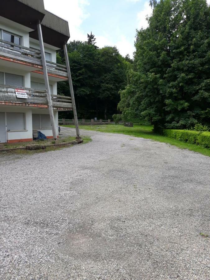 Residence Le Faucon - Col Du Donon Grandfontaine  Экстерьер фото